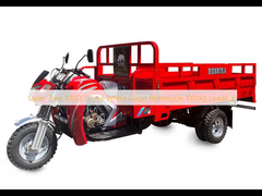 Открытый тип 300CC Мотоцикл на трех колесах 1000 кг