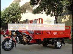 Gasoline 200CC Cargo Tricycle Chinese 3 Wheeler With Double Railings / Side Seats
